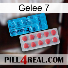 Jelly 7 new14